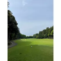 愛羽 仁美