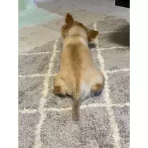 片桐 さやか