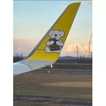 空条 しいな
