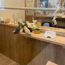 おと