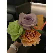 白石 愛莉