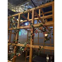 佐野 エマ