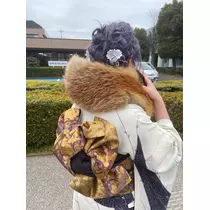 つばさ