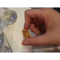 七星 夏純