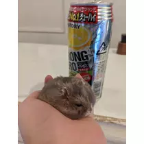 もぐこ