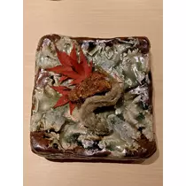 美咲 のばら
