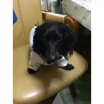 りえ