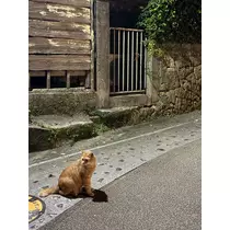 ナナ
