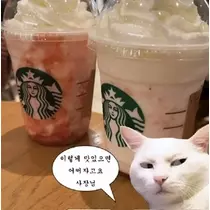 みれい