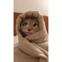 マリン