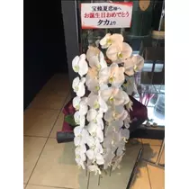 宝條 夏恋