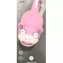 ゆま