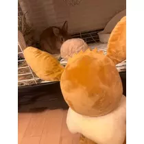 セナ