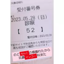 紫音