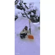 桐島 りゅう
