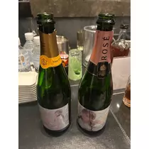 桜乃 咲美