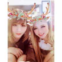 姫花