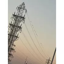 成海 まお
