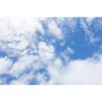 成海 まお