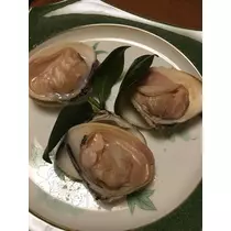 白石 愛莉