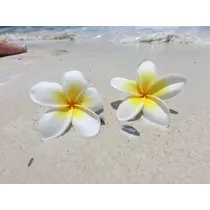 しゅり