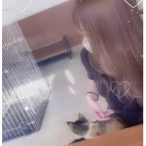 猫羽 のん