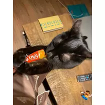 あいゆ