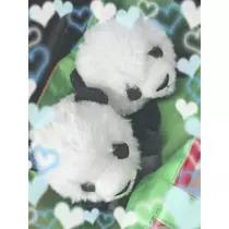 せいら