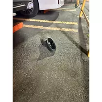 宇都宮 もえ