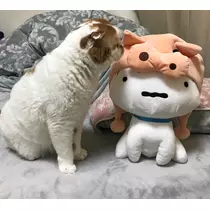 れみ