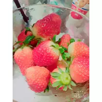 えりか
