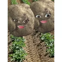 あい