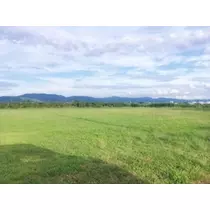 椿綺 楓