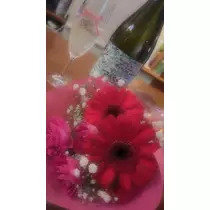 ななみ