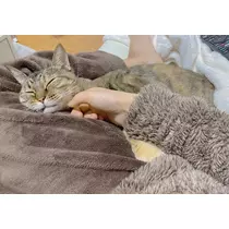 華宮 れい