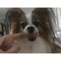 ティナ