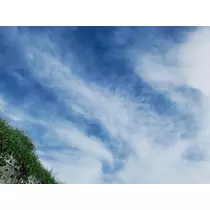 りょう