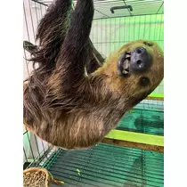 なっちゃん