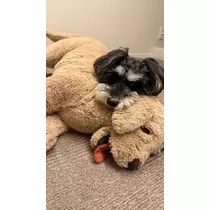 ミナミ