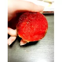 愛羽 仁美