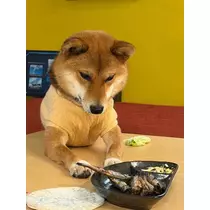 せら
