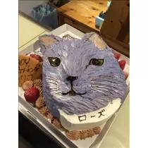 愛羽 仁美