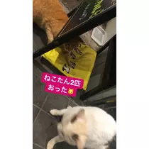 みあ