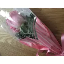 白石 愛莉