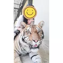 なっちゃん