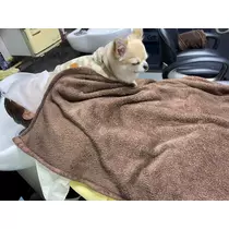 桐島 りゅう