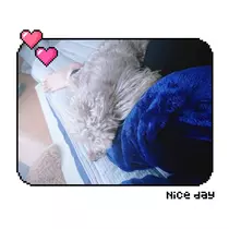 荒木 ナツミ