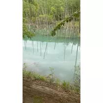 長瀬 純恋
