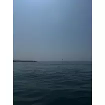 せいか