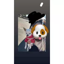 りおな